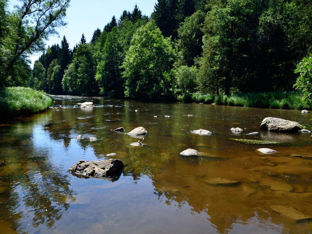Ferienwohnungen Grill Schönberg Zimmer foto